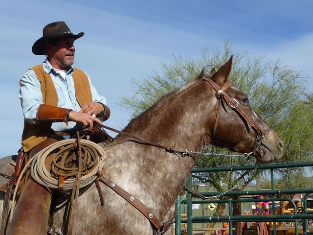 A Cowboy Christmas